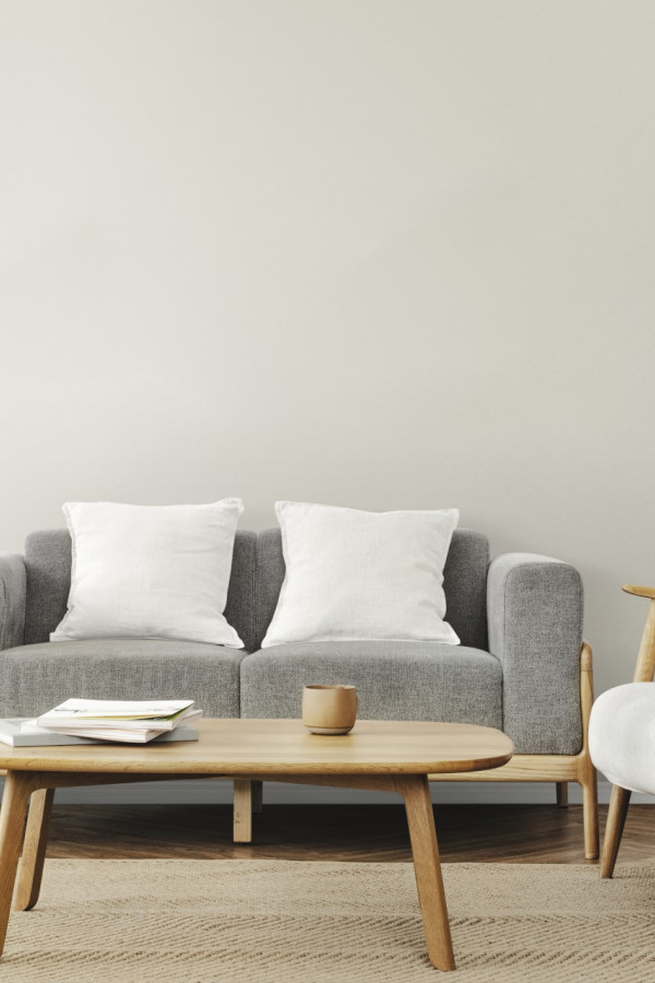 Living room scandinavian interior